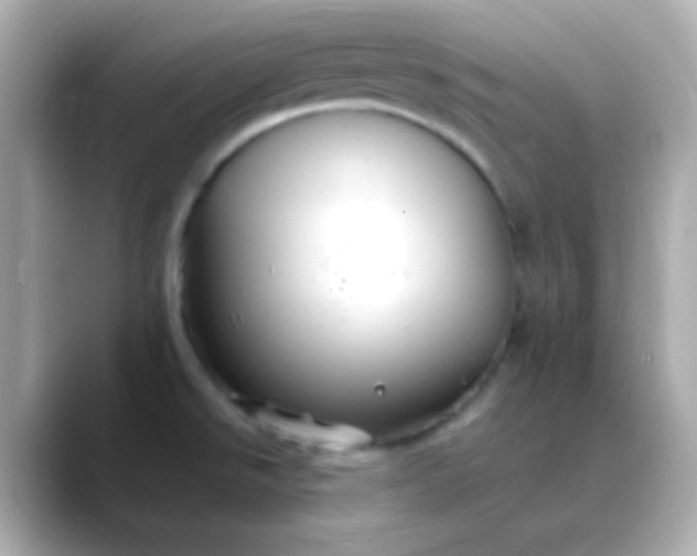 X0000088401526200706051127