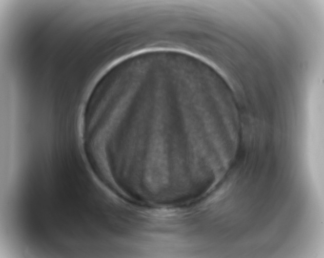 X0000088401527200706051127