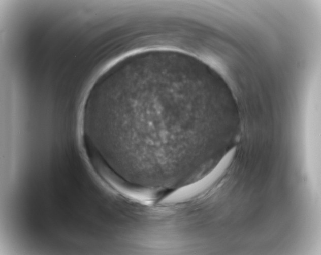 X0000088401528200706051127