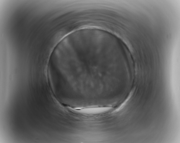 X0000088401529200706051127