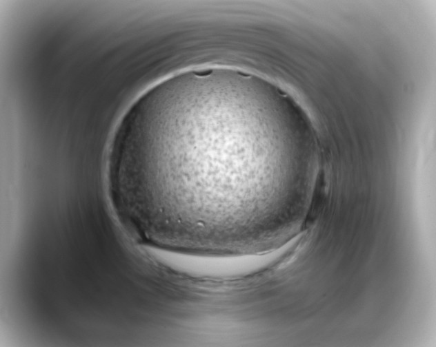 X0000088401530200706051127