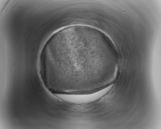 X0000088401531200706051127