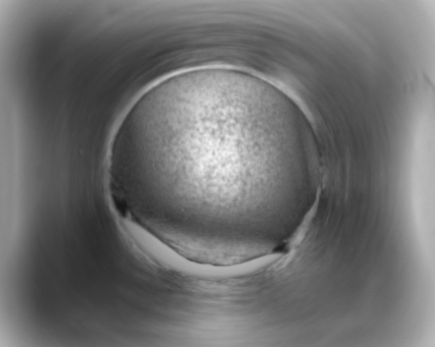 X0000088401532200706051127