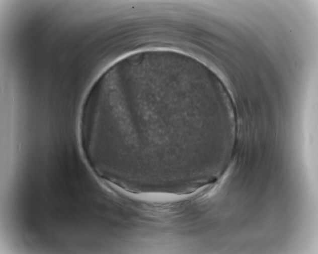 X0000088401533200706051127