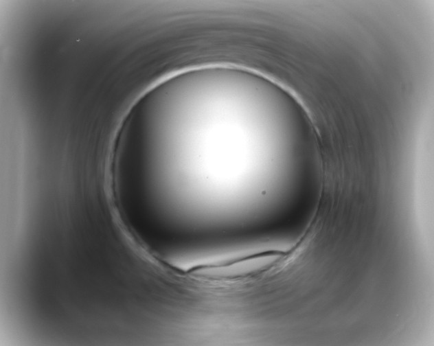 X0000088401534200706051127