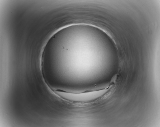 X0000088401535200706051127