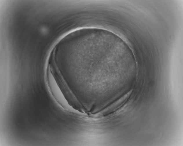 X0000088401536200706051127