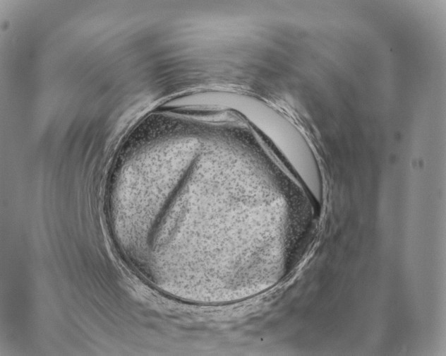 X0000088400001200706121246