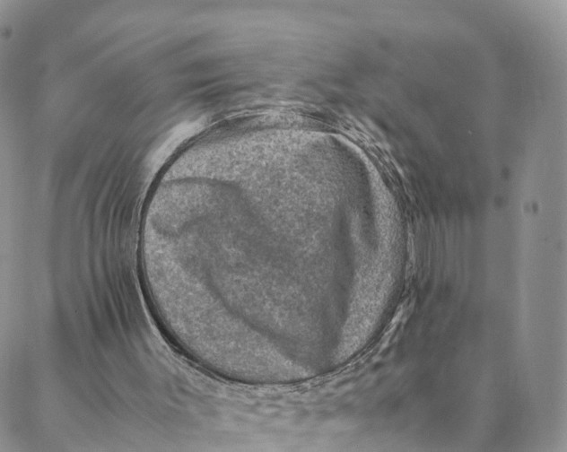 X0000088400003200706121246