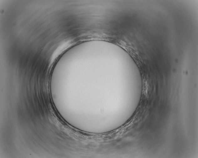 X0000088400004200706121246