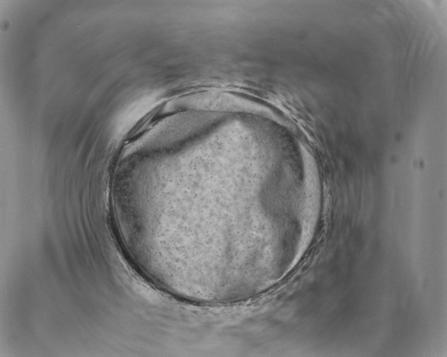 X0000088400005200706121246