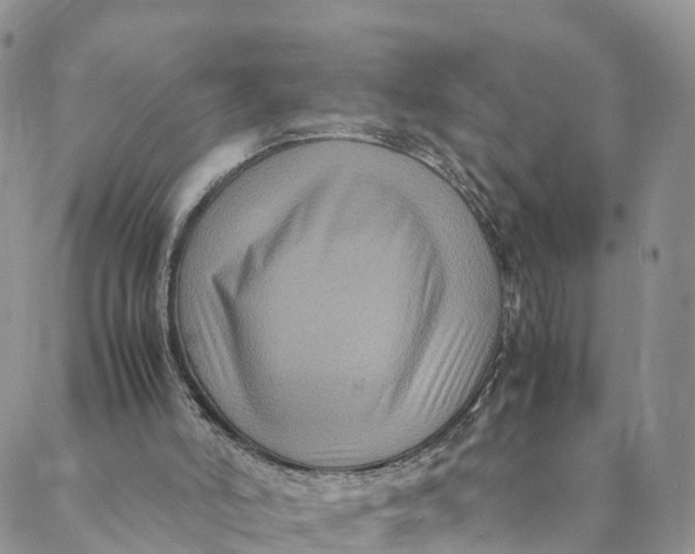 X0000088400006200706121246