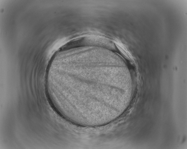 X0000088400007200706121246