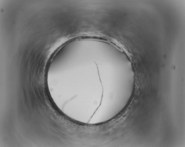 X0000088400008200706121246