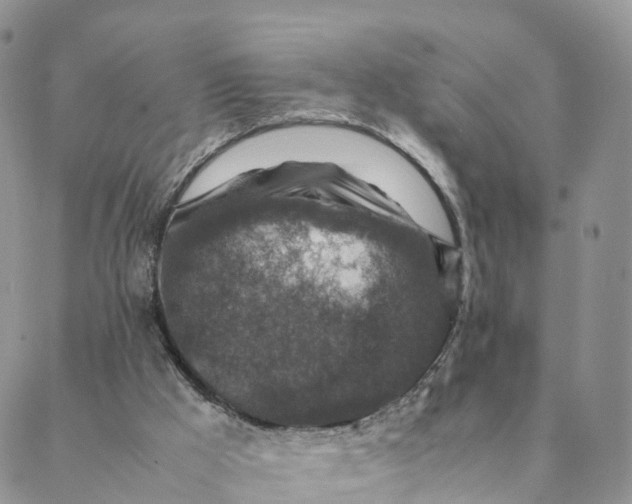 X0000088400009200706121246