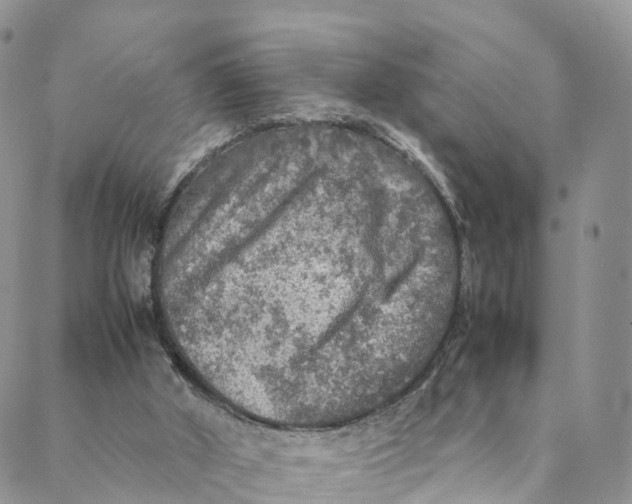 X0000088400010200706121246