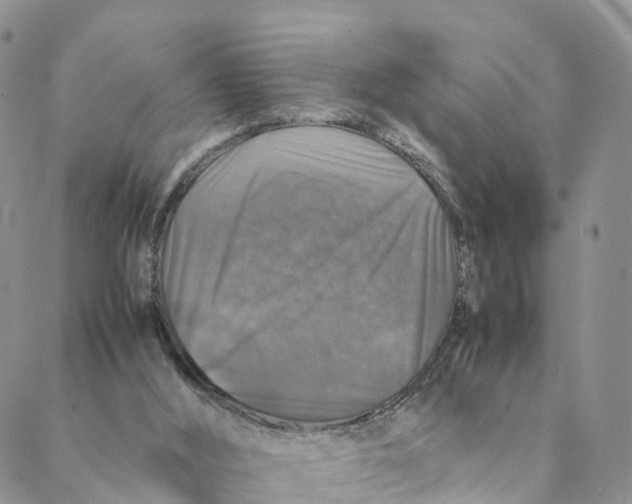 X0000088400012200706121246