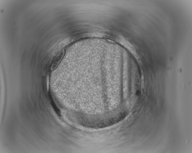 X0000088400013200706121246