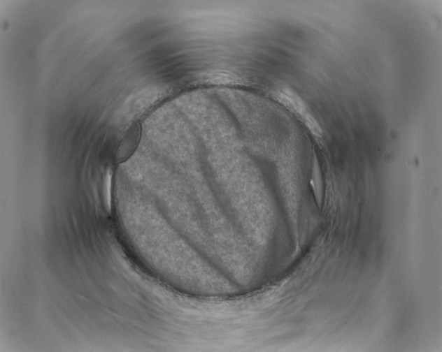 X0000088400014200706121246