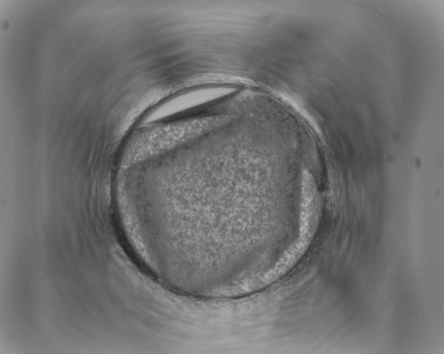 X0000088400015200706121246