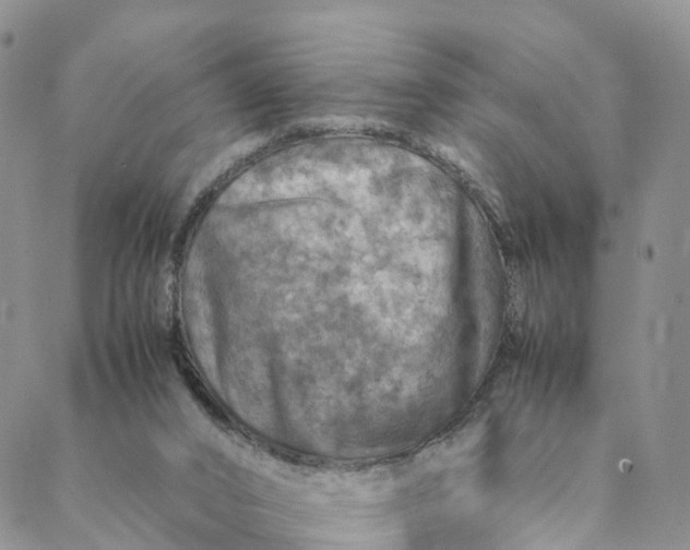 X0000088400016200706121246