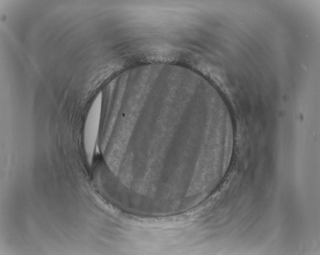 X0000088400017200706121246