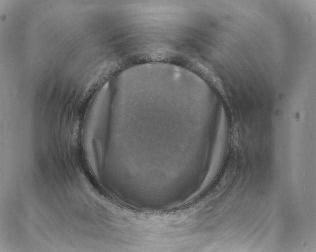 X0000088400018200706121246