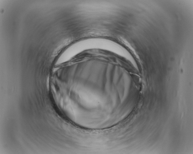 X0000088400019200706121246