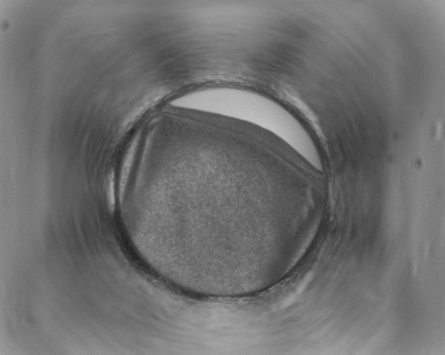 X0000088400020200706121246