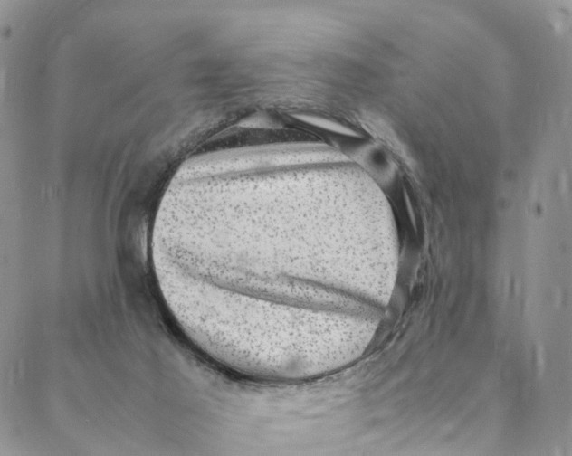 X0000088400021200706121246