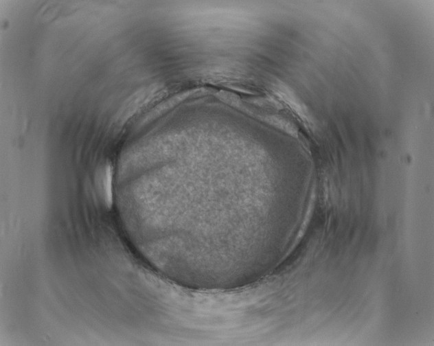 X0000088400022200706121246