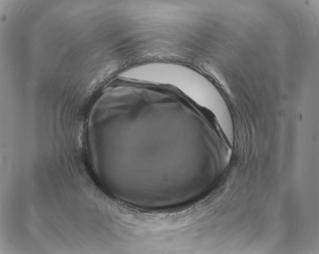 X0000088400023200706121246