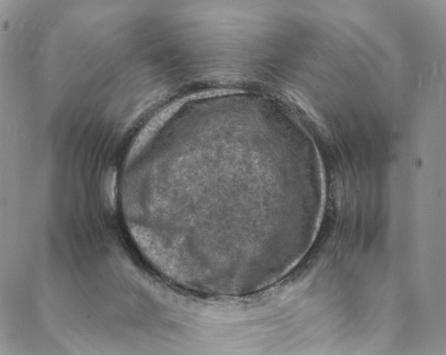 X0000088400024200706121246