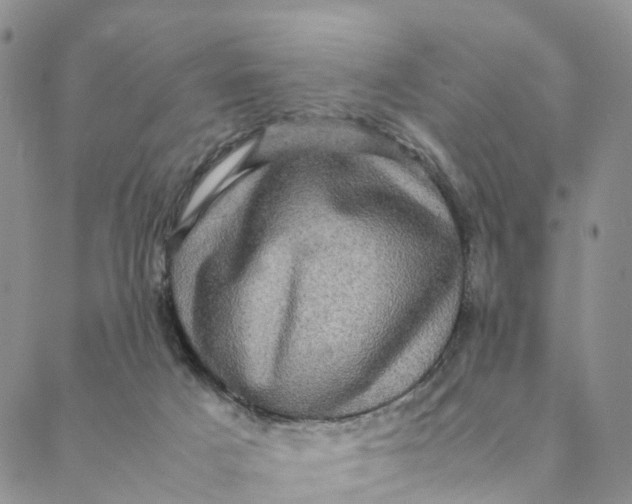 X0000088400025200706121246