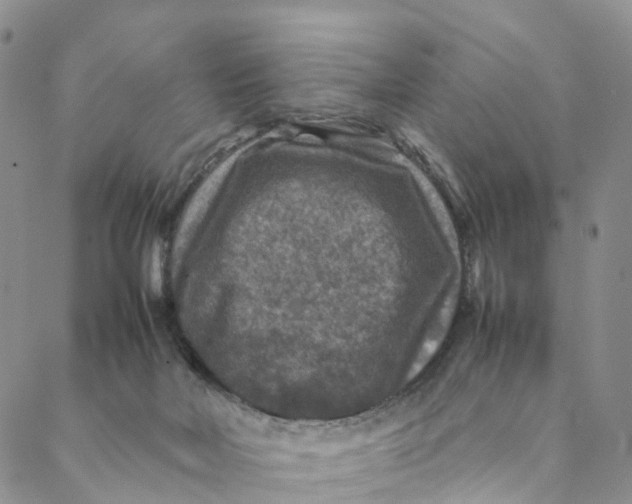 X0000088400026200706121246