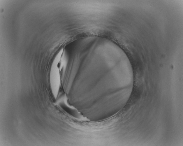 X0000088400027200706121246