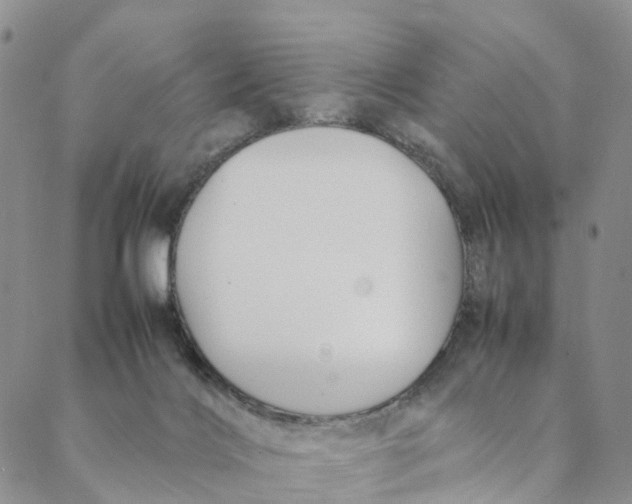 X0000088400028200706121246