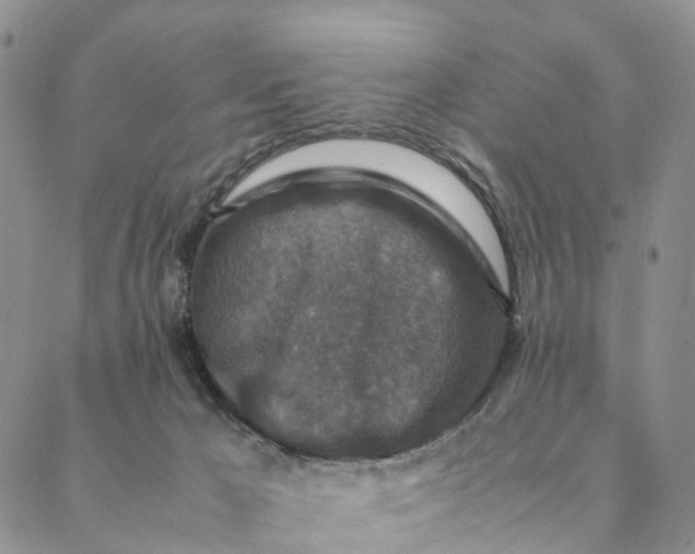 X0000088400029200706121246