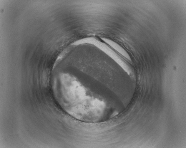 X0000088400030200706121246