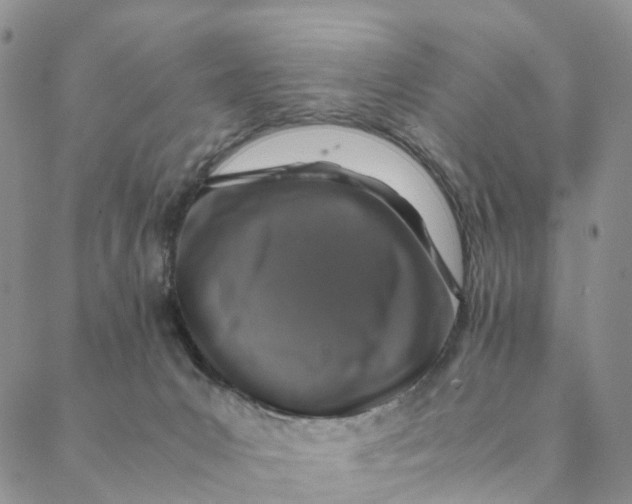 X0000088400031200706121246