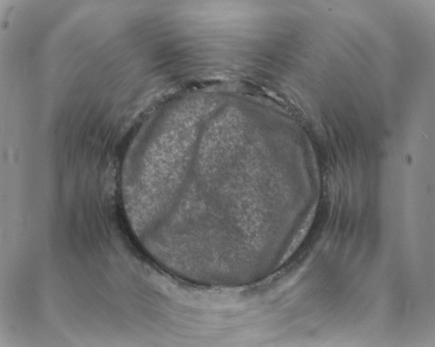 X0000088400032200706121246