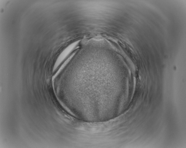 X0000088400033200706121246