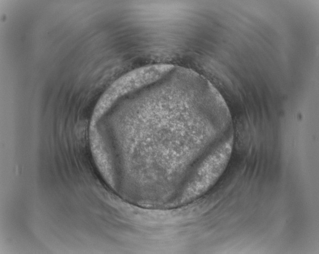 X0000088400034200706121246