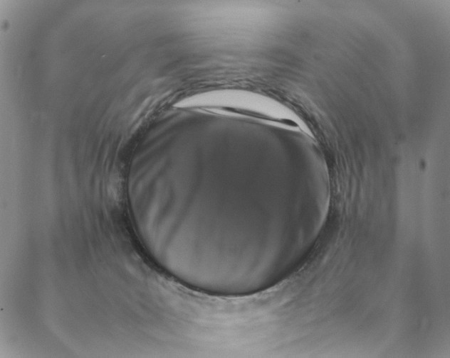 X0000088400035200706121246