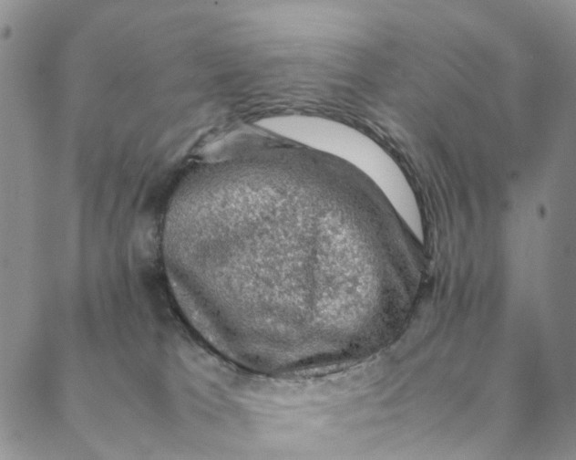 X0000088400037200706121246