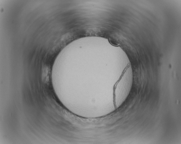 X0000088400038200706121246