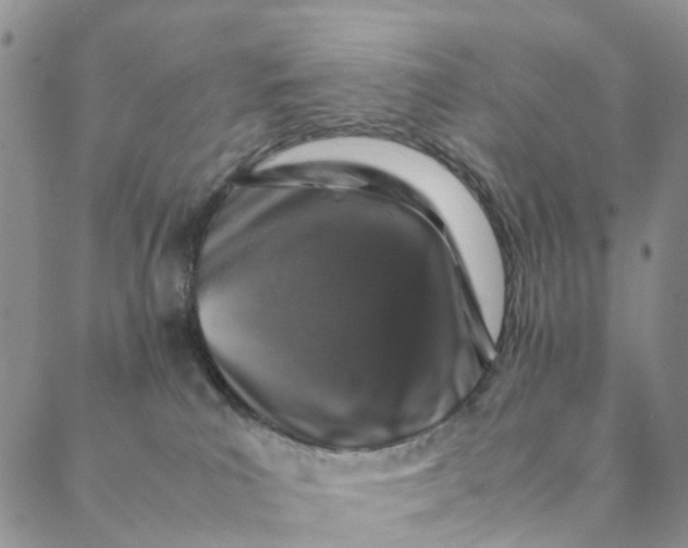 X0000088400039200706121246