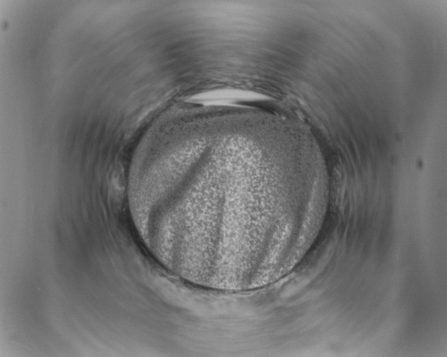 X0000088400040200706121246