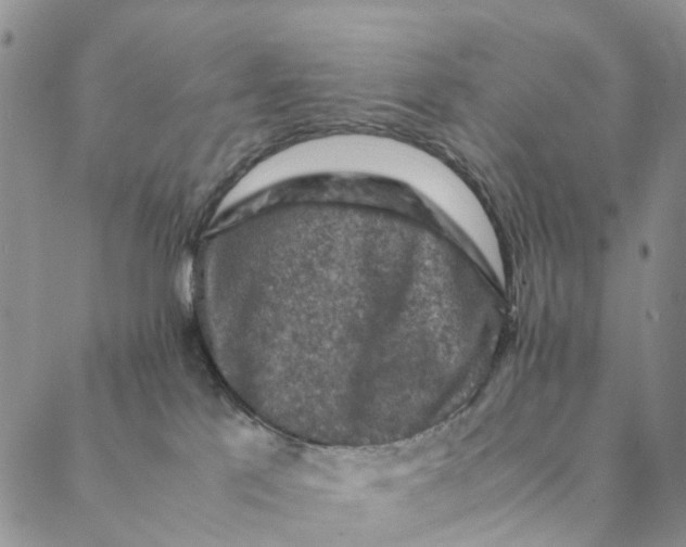 X0000088400041200706121246