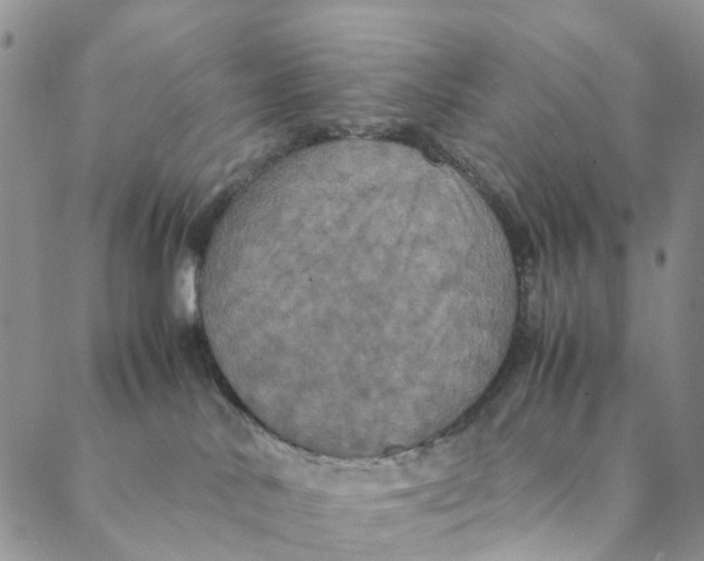 X0000088400042200706121246